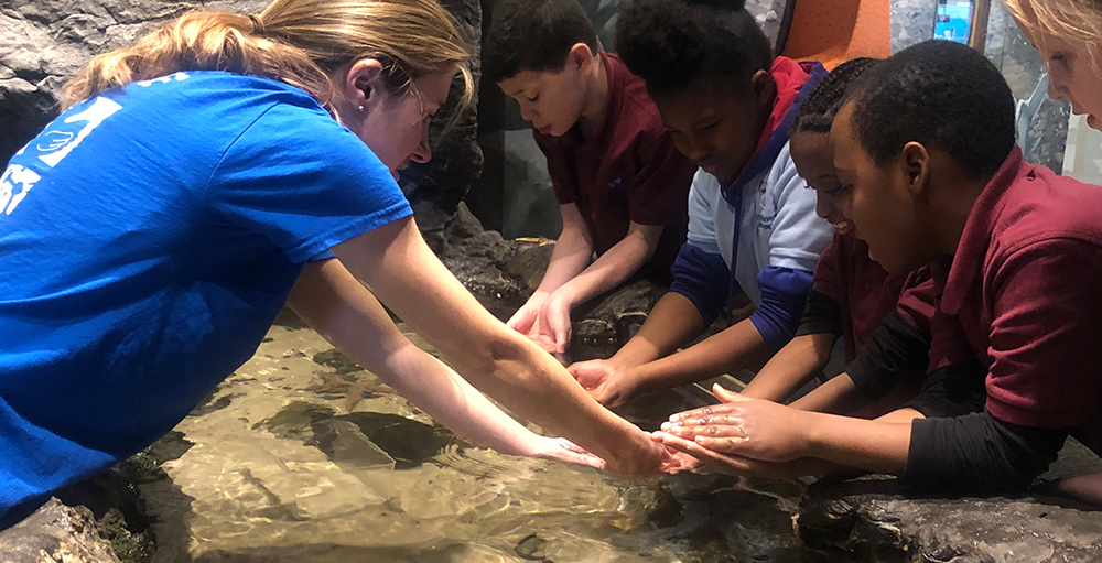 Atoms visited the Sciencenter to learn more about the ocean and the creatures, plants that live below the water