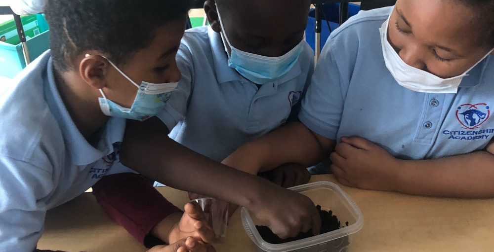 Syracuse Academy of Science and Citizenship elementary 2nd grade students test to see how radish seeds will survive with and without proper nutrients such as water, air, and sunlight.