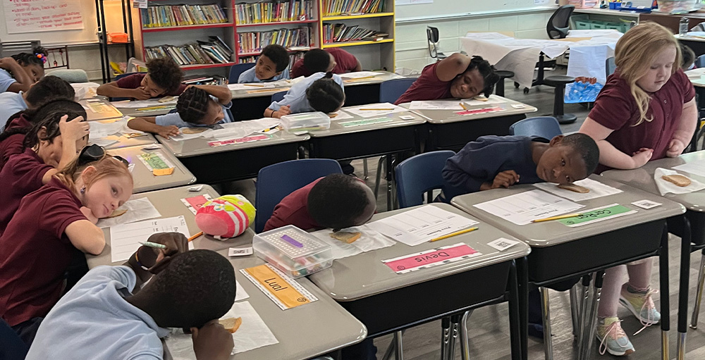Citizenship & Science Academy of Syracuse Students Observe Animals' Environment Using Bread
